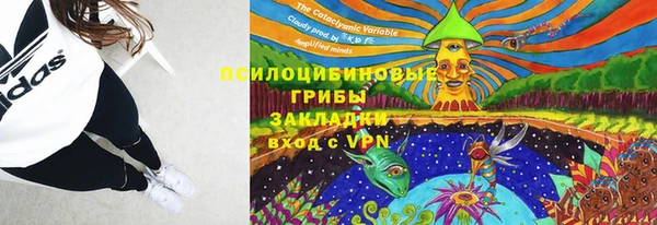 герыч Богородск
