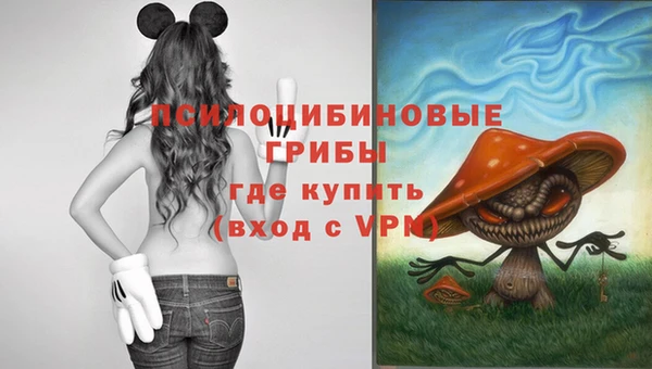 прущая мука Бронницы